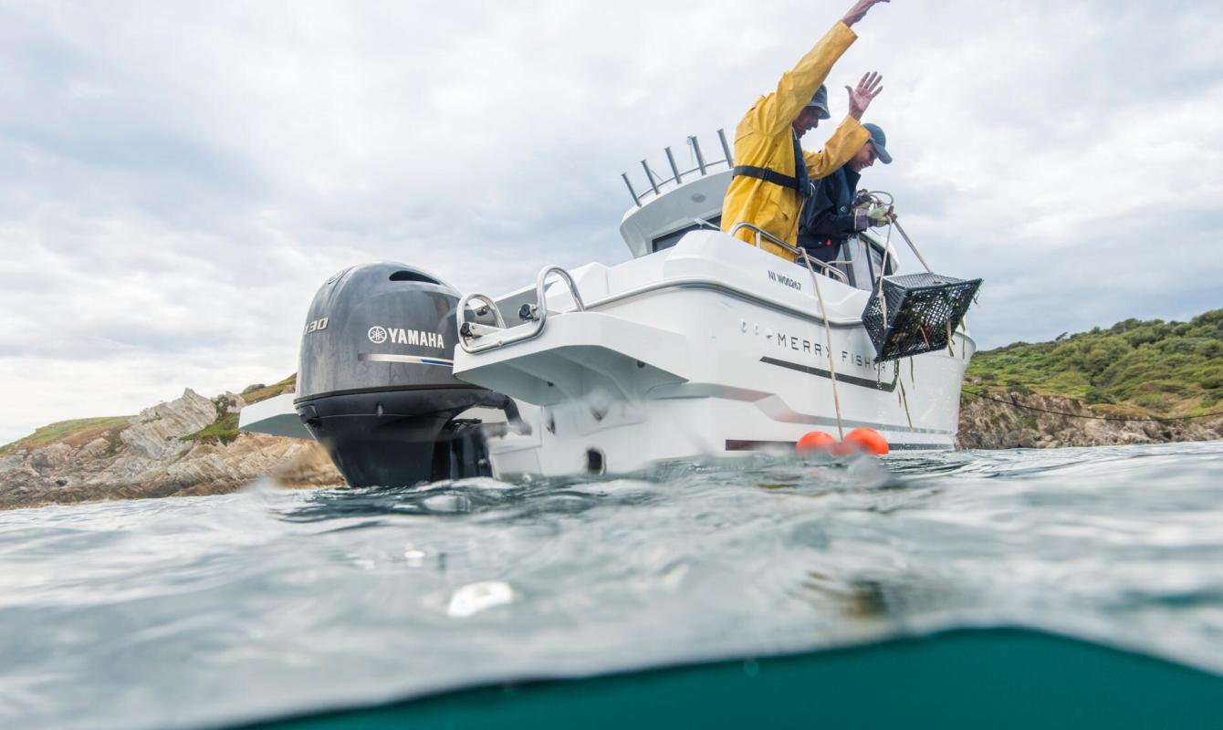 130hp - Naturmar, Yamaha 