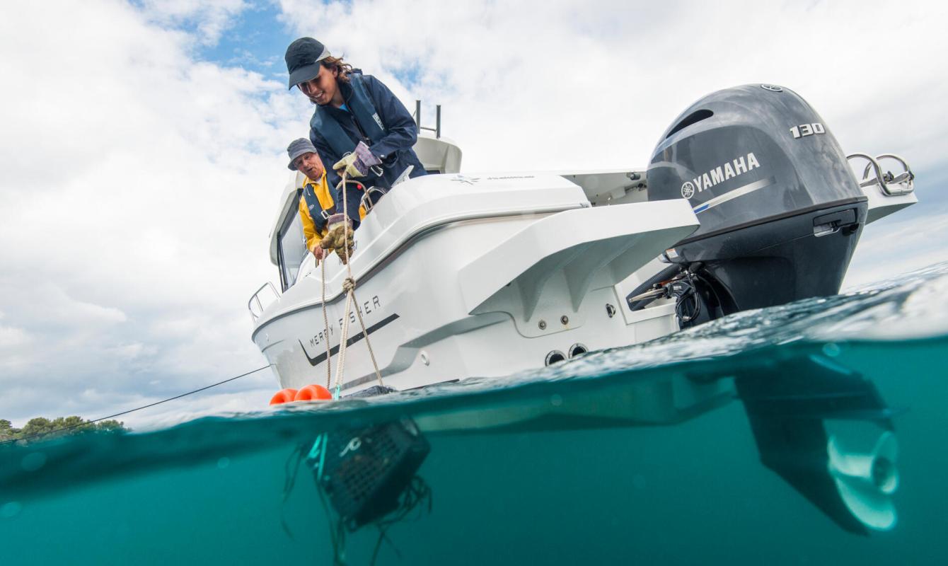 130hp - Naturmar, Yamaha 