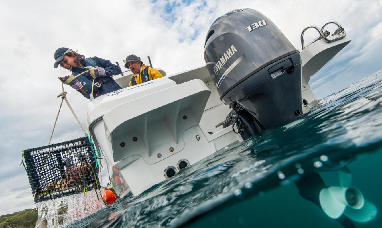 130hp - Naturmar, Yamaha 